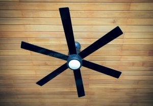 DP ceiling fan and air conditioner